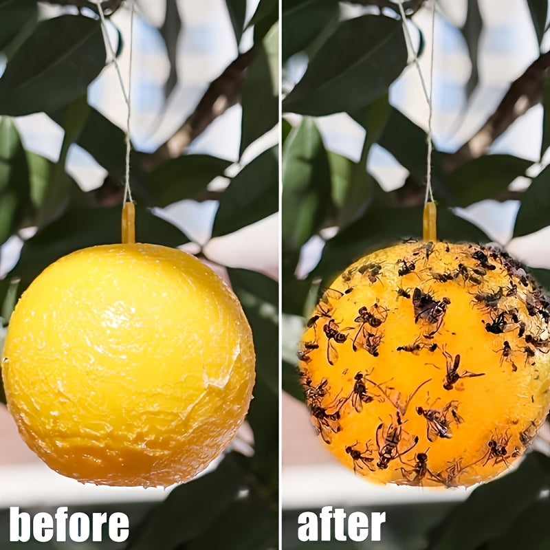 Pułapki na muchy – Proste rozwiązanie przeciwko inwazji much