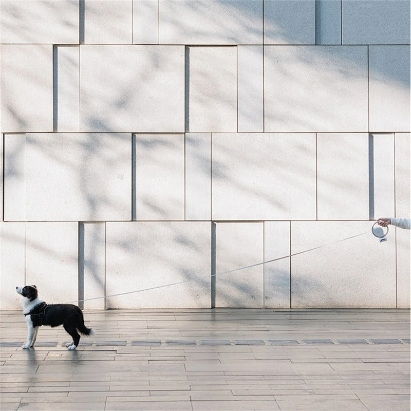 Automatyczna smycz dla psa LED – Ergonomiczny uchwyt i światło bezpieczeństwa