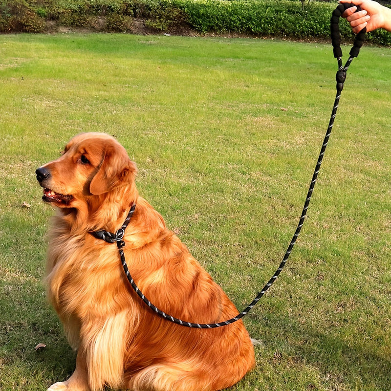 Visszaverő kutyapóráz párnázott fogantyúval – állítható és tartós minden kutyának