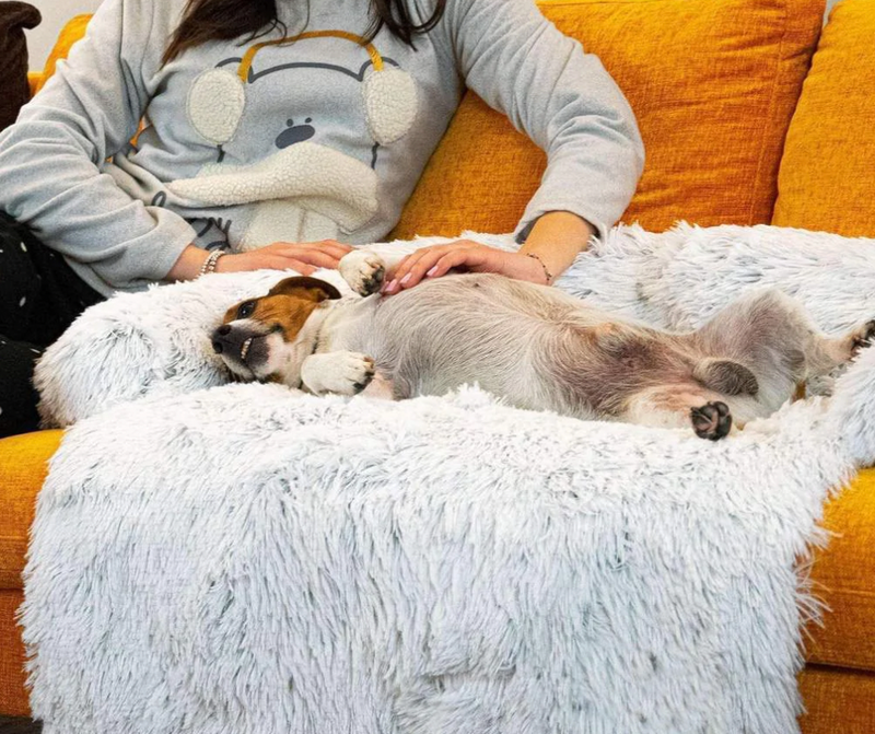 Psia Wygoda Deluxe – Koc: Luksus i Ochrona dla Twoich Mebli