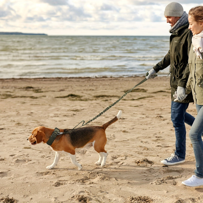 Guler Reglabil din Nylon pentru Câini – Confort și Control pentru Câini Mari