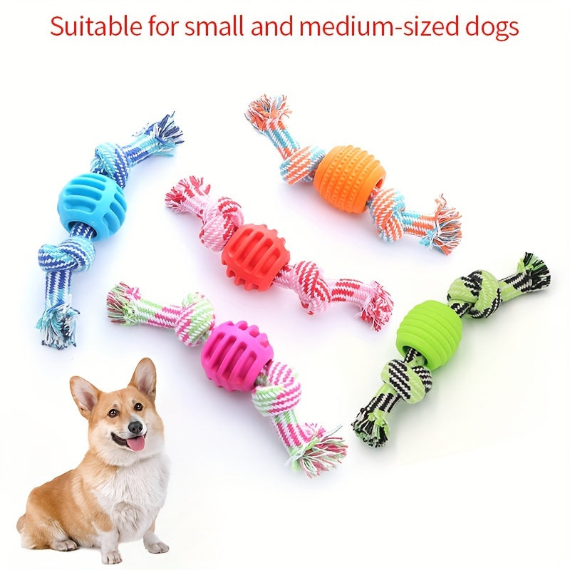 Interactive Chew Toy for Dogs – With Colorful Knots and Rubber Ball