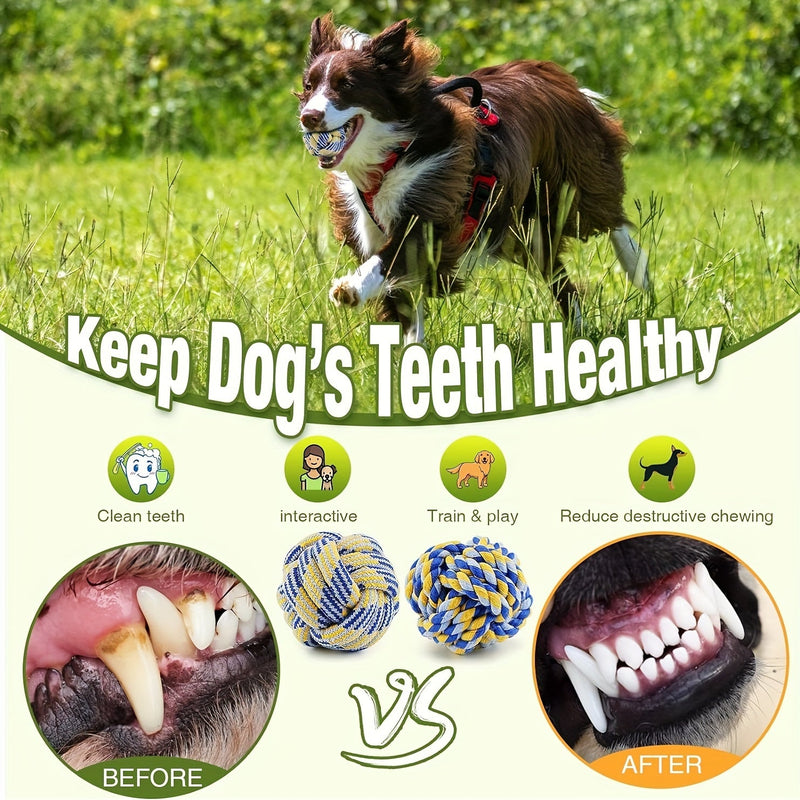 Dog Toy Set - 4 Pieces – Ideal for Chewing, Biting, and Playtime