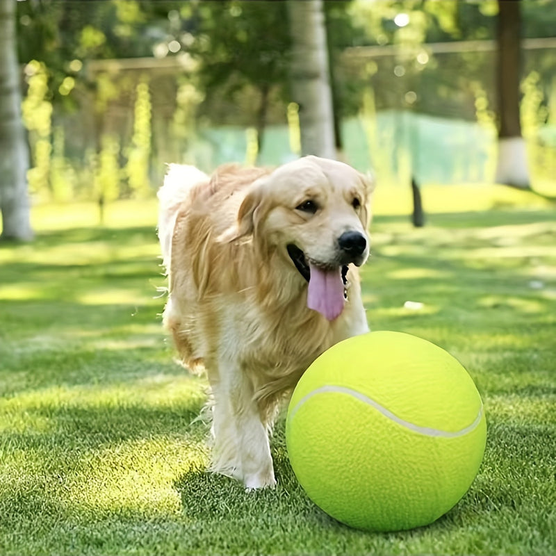Extra Large Eco-Friendly Tennis Ball for Dogs – Ideal for Outdoor Play