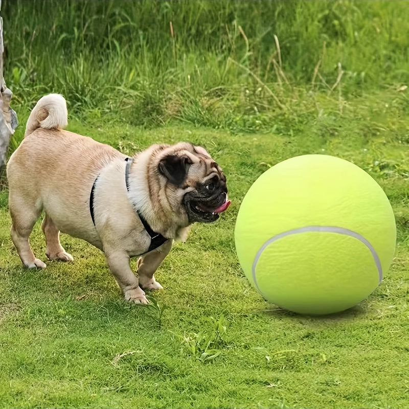 Extra Large Eco-Friendly Tennis Ball for Dogs – Ideal for Outdoor Play
