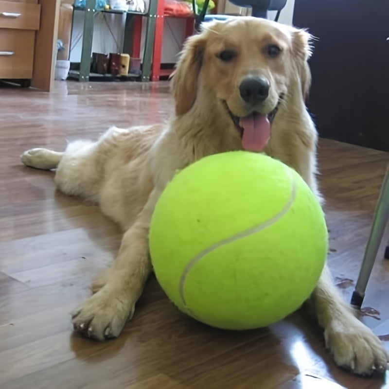 Extra Large Eco-Friendly Tennis Ball for Dogs – Ideal for Outdoor Play
