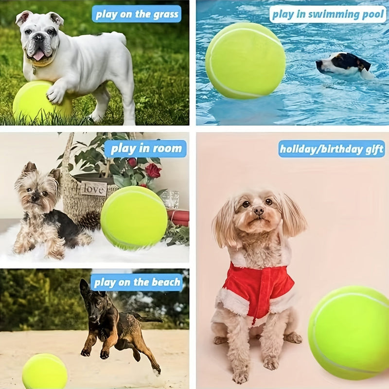 Extra Large Eco-Friendly Tennis Ball for Dogs – Ideal for Outdoor Play