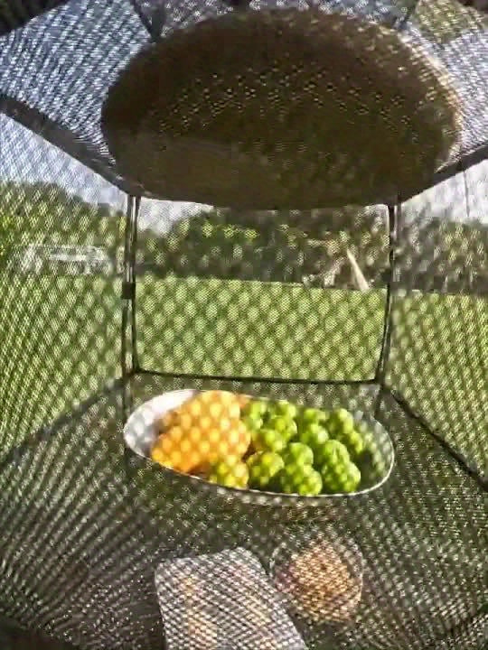 3-poziomowy Stojak na Camping – Trwały, Kompaktowy i Wygodny do Campingowania i Aktywności na Świeżym Powietrzu