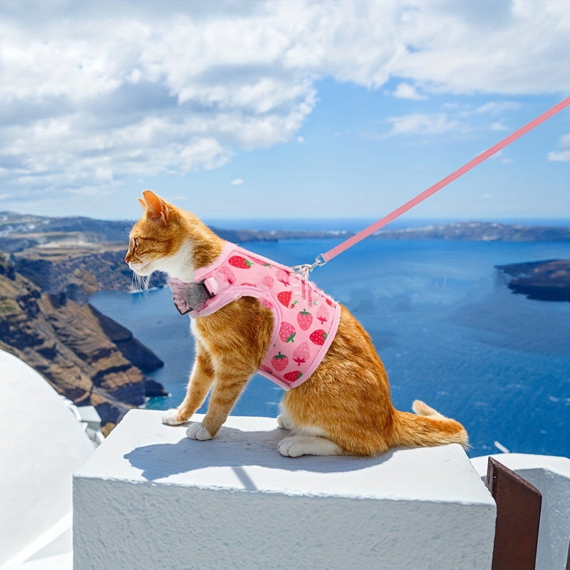 Set Harnasa KittyComfort - Pentru plimbări și aventuri confortabile