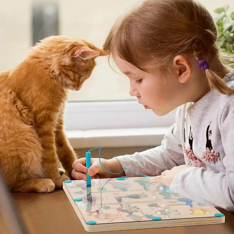 Edukacyjne Magnetyczne Dinozaury Labirynt - Ucz się Kolorów i Liczb