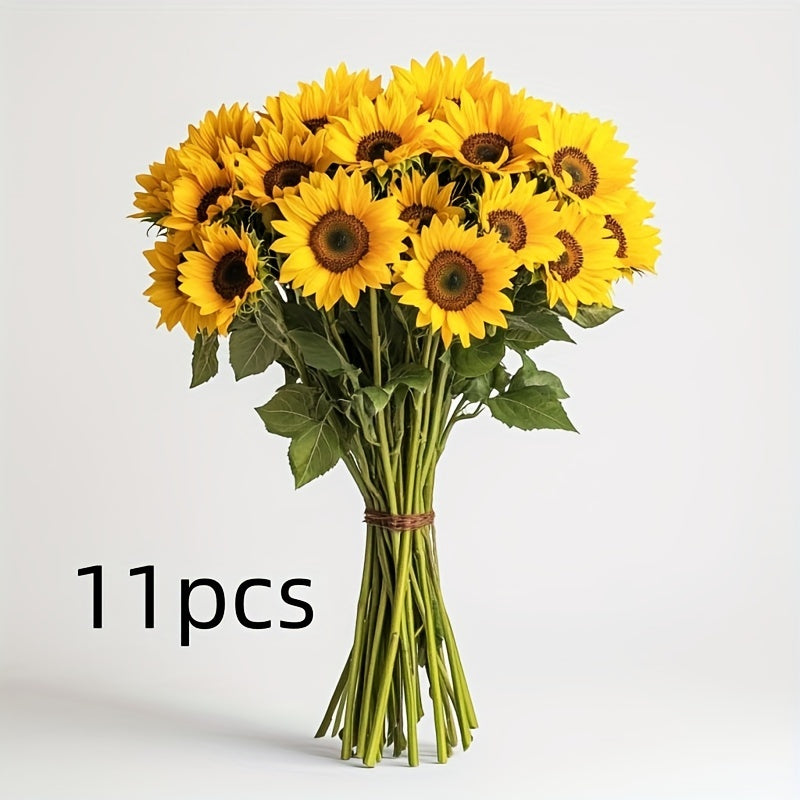 Set of 11 Live Sunflowers – Ideal for Autumn, Weddings, and Garden Decorations