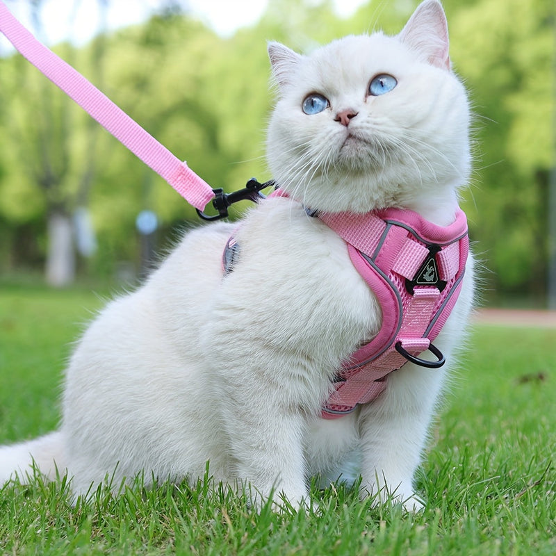 Reflective Harness and Leash for Cat – Ideal for Walks and Training