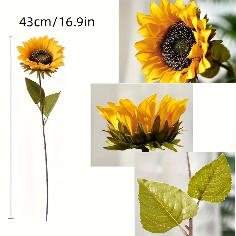 Set of 11 Live Sunflowers – Ideal for Autumn, Weddings, and Garden Decorations