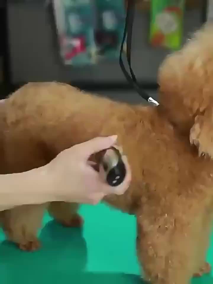 Wireless Trimmer for Animals – USB Rechargeable and Quiet for Dogs and Cats