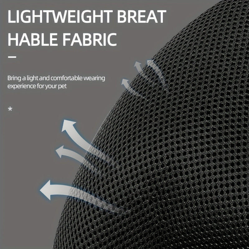 Reflective Harness and Leash for Cat – Ideal for Walks and Training