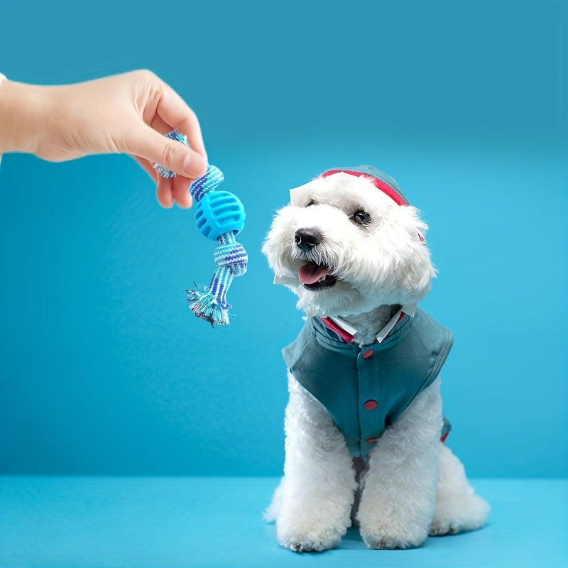 Interactive Chew Toy for Dogs – With Colorful Knots and Rubber Ball