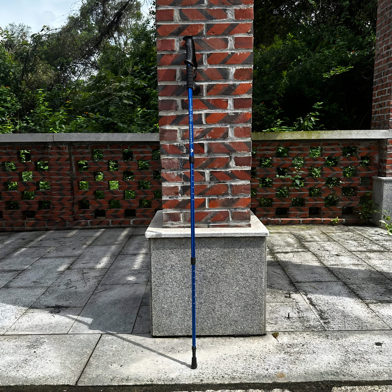 Lekkie Aluminiumowe Kije Trekkingowe – Regulowane i Amortyzujące dla Przygodowych Wędrowców