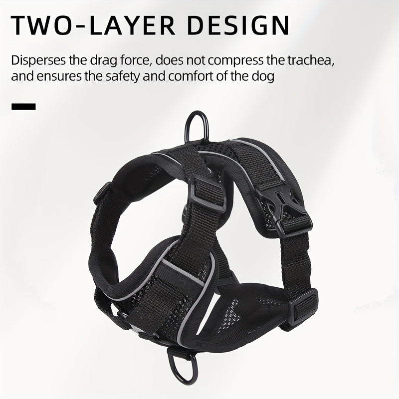 Reflective Harness and Leash for Cat – Ideal for Walks and Training