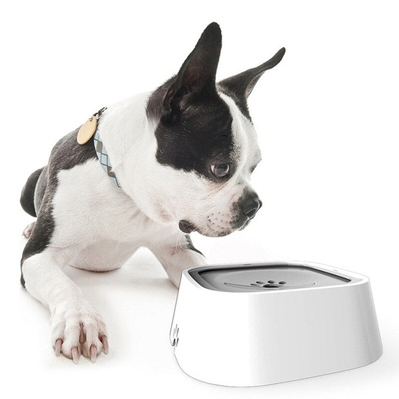 PawsFlow Fontanna - Dla Czystego Doświadczenia Picie dla Twojego Psa