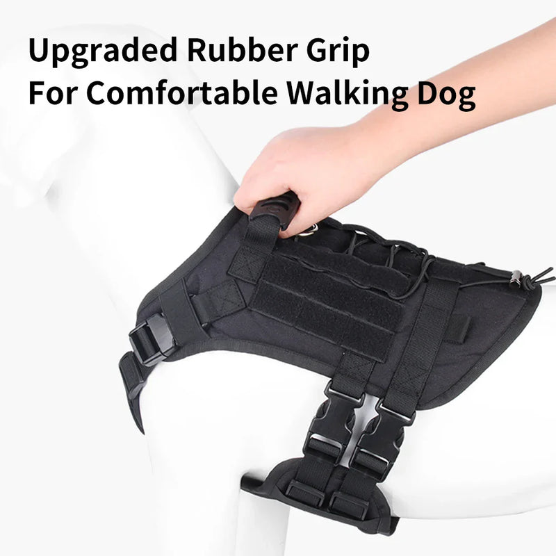 Taktikai kutyahám - masszív és állítható aktív kutyák számára