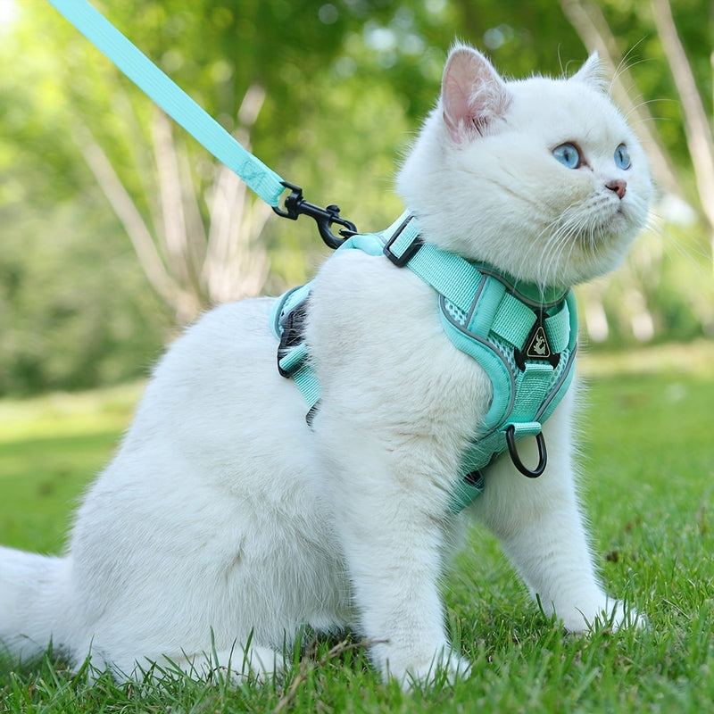 Reflective Harness and Leash for Cat – Ideal for Walks and Training