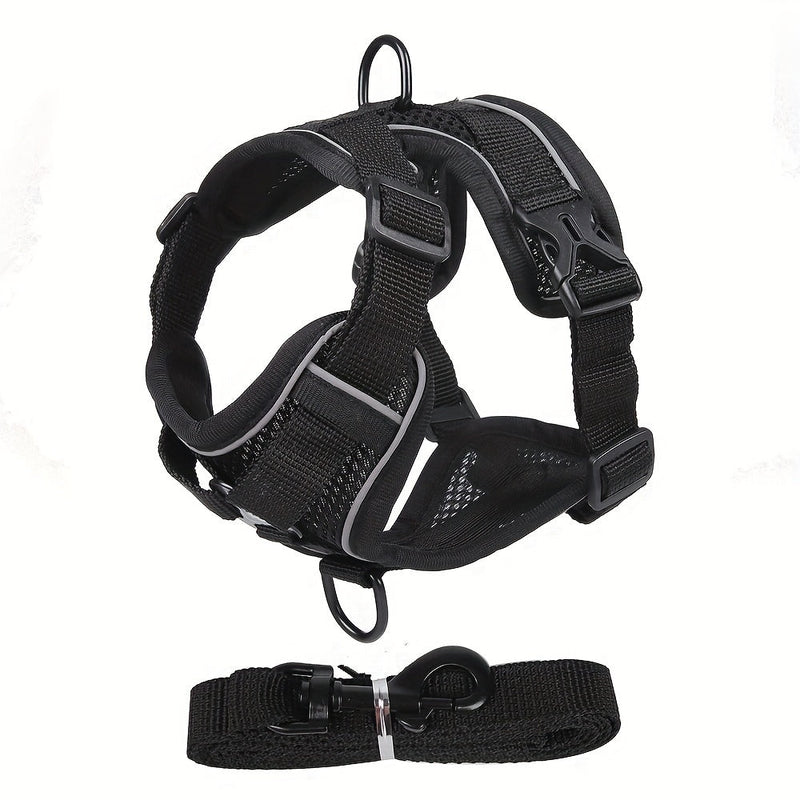 Reflective Harness and Leash for Cat – Ideal for Walks and Training