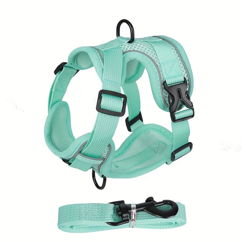 Reflective Harness and Leash for Cat – Ideal for Walks and Training