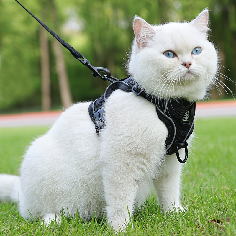 Reflective Harness and Leash for Cat – Ideal for Walks and Training