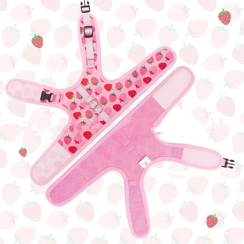 Set Harnasa KittyComfort - Pentru plimbări și aventuri confortabile