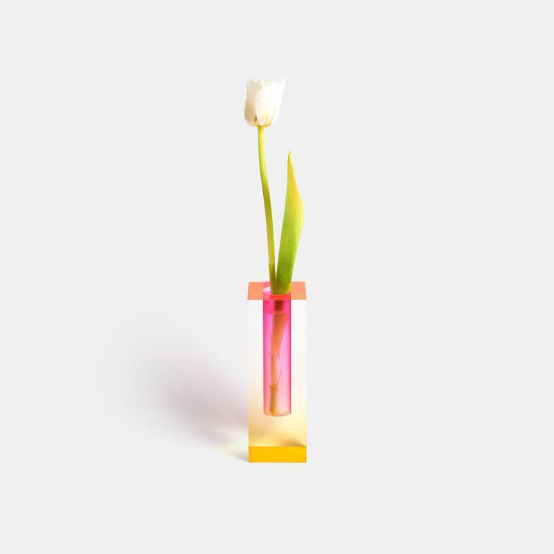 Kaleidoscope Vases - Colorful Flower Vases for a Fresh Interior