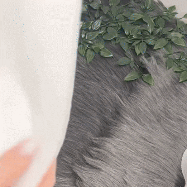 ZindelijkKleine Dziecięce Majtki - Idealne do Nauki Toaletowej